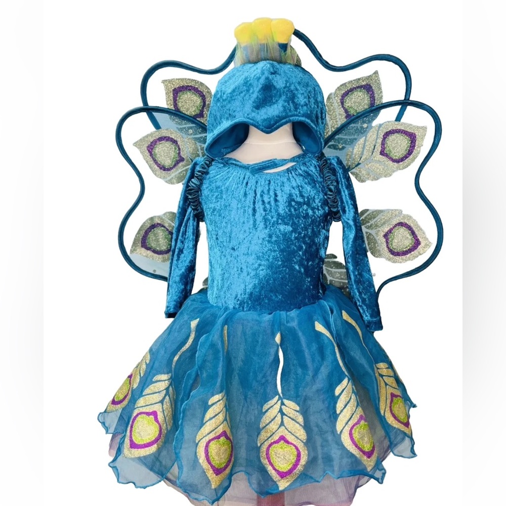 Gymboree Peacock Costume